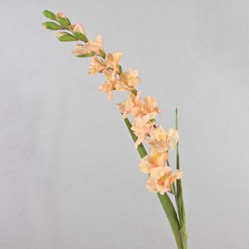 Künstliche Blume Gladiole THEOPHORA, aprikose-rosa, 110cm, Ø6-10cm