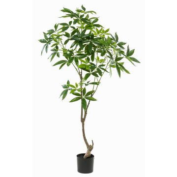 Künstlicher Pachira Baum CANTSA, Kunststamm, 150cm