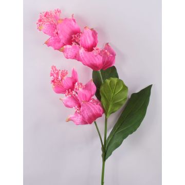 Kunstblumenzweig Medinilla LASENTER, rosa, 110cm