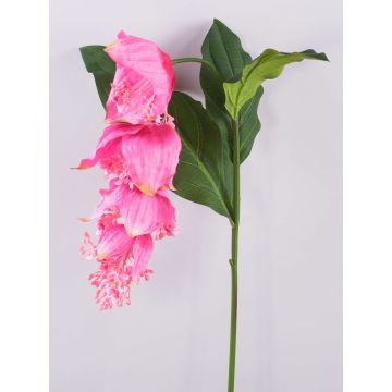 Kunstblumenzweig Medinilla LASENTER, rosa, 140cm
