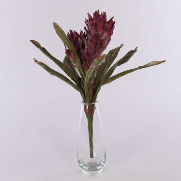 Samt Guzmania Bromelie künstlich WALFRIEDE auf Steckstab, burgunderrot, 50cm