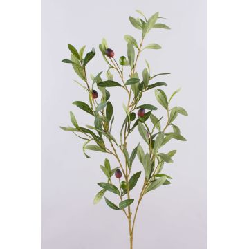 Olivenzweig ROVUMA mit Früchten, grün, 95cm
