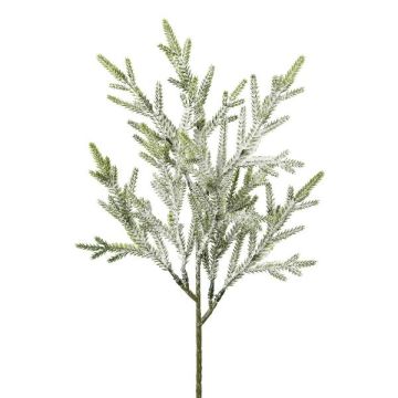 Dekozweig Tanne FILTRES, beschneit, weiß, 40cm