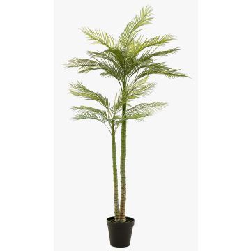 Kunstpalme groß Phönixpalme MIRCA, Dekotopf, 225cm