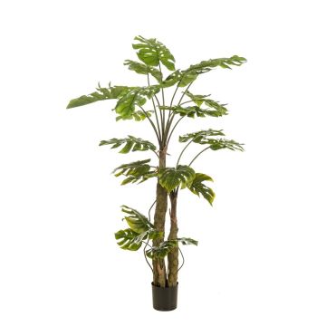 Kunstpflanze Philodendron monstera deliciosa KORVEX, Luftwurzeln, 180cm