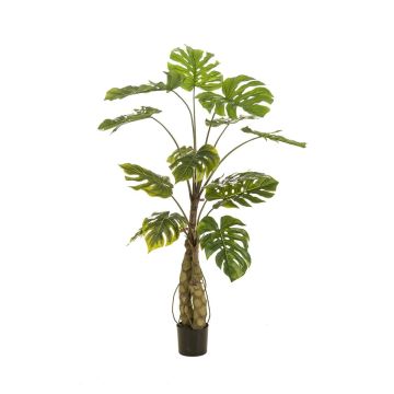 Kunstpflanze Philodendron monstera deliciosa KORVEX, Luftwurzeln, 150cm
