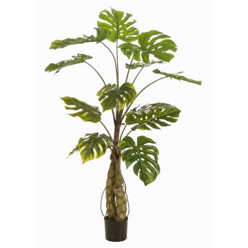 Kunstpflanze Philodendron monstera deliciosa KORVEX, Luftwurzeln, 150cm