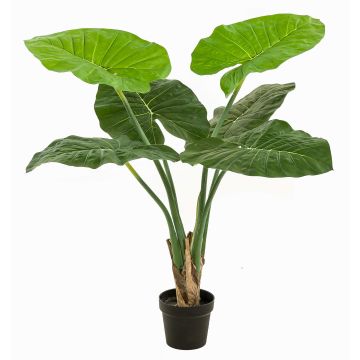 Kunst Pflanze Alocasia Calidora NICAS, Dekotopf, grün, 90cm Kunst Pflanze Alocasia Calidora NICAS, Dekotopf, grün, 90cm