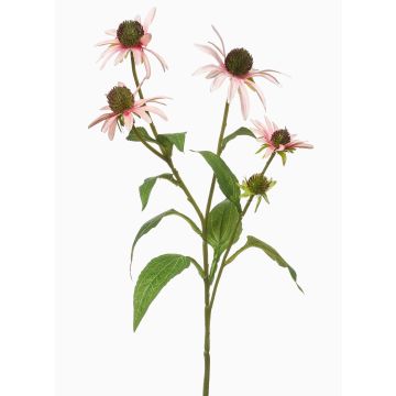 Dekozweig Sonnenhut MILROV, hellrosa, 75cm Dekozweig Sonnenhut MILROV, hellrosa, 75cm