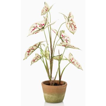 Kunstpflanze Syngonium YOMREL im Terracottatopf, creme-rot, 60cm