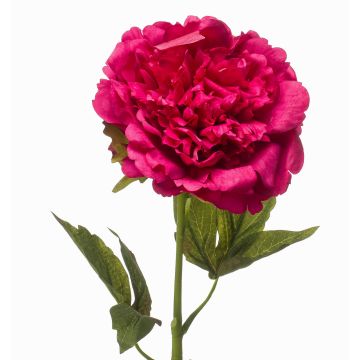 Pfingstrose künstlich GAVRON, pink, 55cm Pfingstrose künstlich GAVRON, pink, 55cm