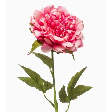 Pfingstrose künstlich GAVRON, rosa, 55cm