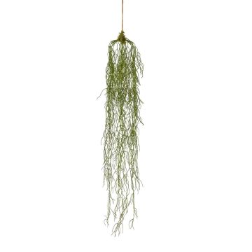Kunstpflanze Sukkulente Rhipsalis Hänger JULLINA, grün, 90cm