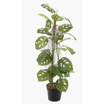 Kunstpflanze Philodendron monstera adansonii BRINOL, Dekotopf, Luftwurzeln, 80cm