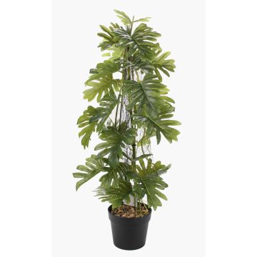 Kunstpflanze Philodendron selloum BRINOL, Dekotopf, Luftwurzeln, 80cm