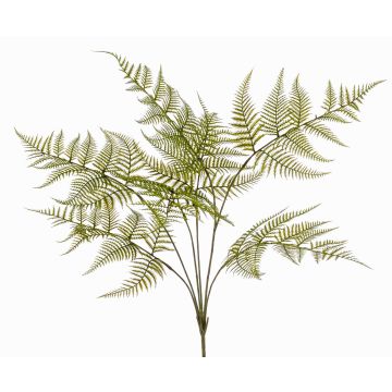 Kunstpflanze Schwertfarn MELFIR, auf Steckstab, crossdoor, grün, 65cm