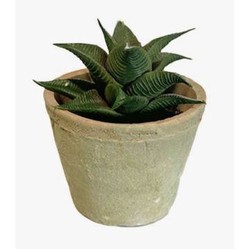 Künstliche Sukkulente Haworthia limifolia GLOFER im Terracottatopf, dunkelgrün, 13cm
