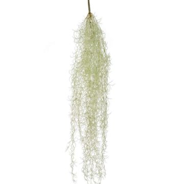 Künstliche Sukkulente Tillandsia usneoides BRAVIK, Steckstab, schwer brennbar, grau, 85cm