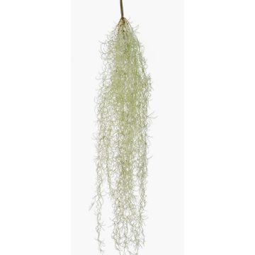 Künstliche Sukkulente Tillandsia usneoides BRAVIK, Steckstab, schwer brennbar, grau, 85cm