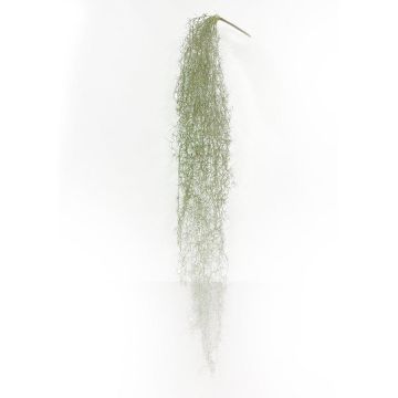 Künstliche Sukkulente Tillandsia usneoides BRAVIK, Steckstab, schwer brennbar, grau, 150cm