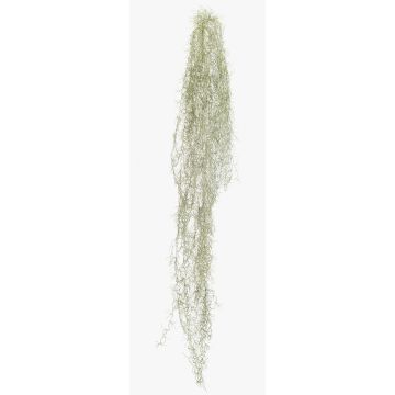 Künstliche Sukkulente Tillandsia usneoides BRAVIK, Steckstab, schwer brennbar, grau, 150cm