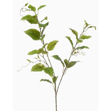 Deko Zweig Clematis VLORIX, grün-creme, 105cm