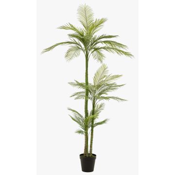 Kunstpalme groß Phönixpalme MIRCA, Dekotopf, 245cm