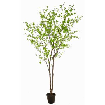 Kunstbaum Kapuzinerkresse NEVKAR im Dekotopf, Kunststämme, grün, 300cm Kunstbaum Kapuzinerkresse NEVKAR im Dekotopf, Kunststämme, grün, 300cm