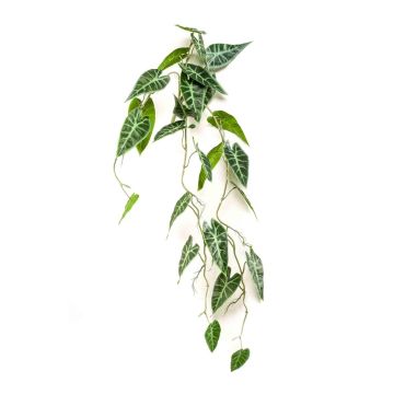 Kunstpflanze Alocasia sanderiana EXEVLO auf Steckstab, hängend, grün, 80cm
