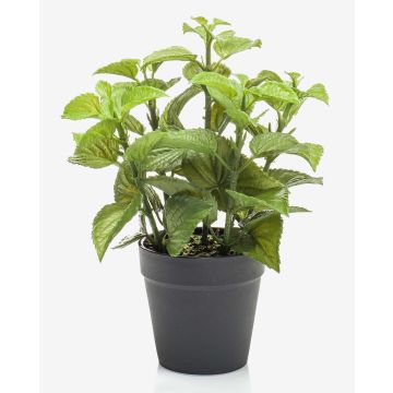 Künstliche Küchenkräuter Minze WHOOPI im Dekotopf, grün, 23cm