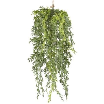Kunstpflanze Zypresse ALYNA, Früchte, hängend, grün, 40cm