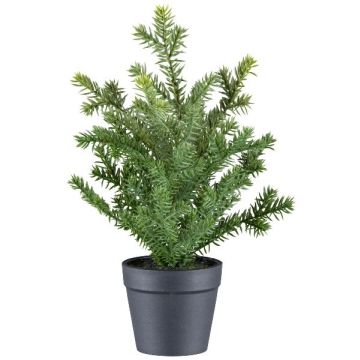 Künstliche Pflanze Eibe KRUHER, Dekotopf, grün, 28cm