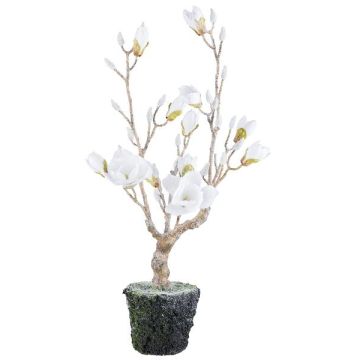 Dekobaum Magnolie NANDAL, Erdball, Blüten, Kunststamm, gefroren, weiß, 75cm
