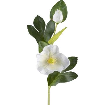 Künstliche Blume Christrose DENDY, weiß, 35cm Künstliche Blume Christrose DENDY, weiß, 35cm