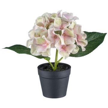 Dekoblume Hortensie LENDYN im Dekotopf, pastellrosa, 20cm