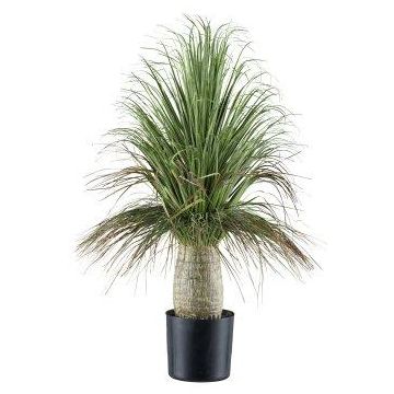 Deko Palme Grasbaum COOSA, 60cm