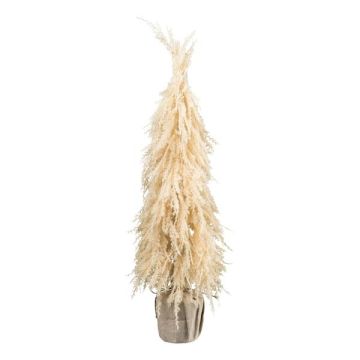 Deko Gras Pampasgras Weihnachtsbaum MOLFI im Jutesack, Rispen, creme, 80cm