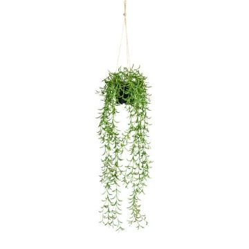 Kunst Rhipsalis Blumenampel CANDO, grün, 70cm