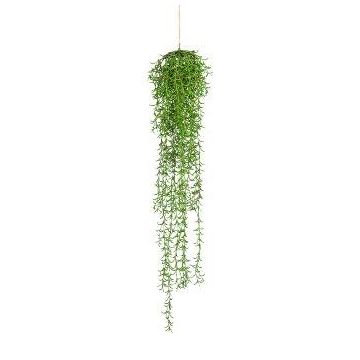 Künstliche Sukkulente Rhipsalis LANDORY, hängend, grün, 110cm