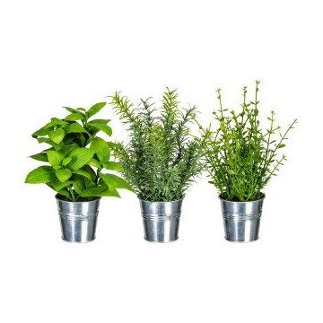 Kunst Kräutermix DRILHO, Basilikum, Rosmarin, Thymian, 3 Stück, Zinktopf, grün, 25cm, Ø16cm