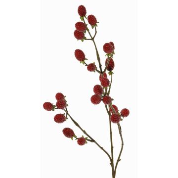 Deko Zweig Brombeere URUMA mit Früchten, rot, 90cm Deko Zweig Brombeere URUMA mit Früchten, rot, 90cm
