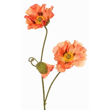 Künstlicher Mohnblumenzweig PEJA, pfirsich, 90cm, Ø11-13cm Künstlicher Mohnblumenzweig PEJA, pfirsich, 90cm, Ø11-13cm