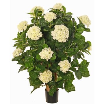 Hortensie künstlich PINDO, creme, 95cm Hortensie künstlich PINDO, creme, 95cm