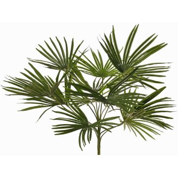 Kunstpalme Washingtonia SAIMA auf Steckstab, crossdoor, 50cm Kunstpalme Washingtonia SAIMA auf Steckstab, crossdoor, 50cm