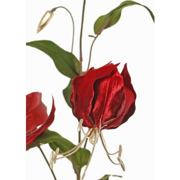 Samt Gloriosa Zweig DINFAS, dunkelrot-gold, 80cm Samt Gloriosa Zweig DINFAS, dunkelrot-gold, 80cm