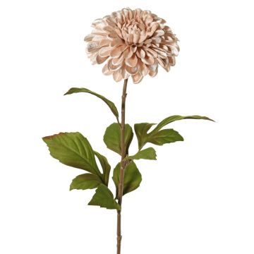 Samt Dahlie TINFAS, zartrosa, 60cm, Ø13cm