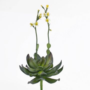 Kunststoffschaum Aeonium CHARLIZE mit Blüten, Steckstab, gelb, 30cm