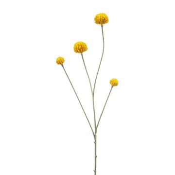 Kunstzweig Trommelstöckchen RILADA, gelb, 70cm