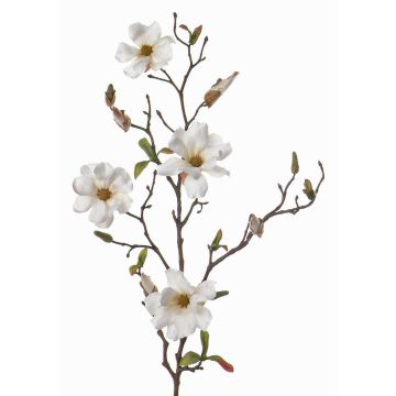 Magnolienzweig künstlich MARGA, weiß, 80cm, Ø7-8cm Magnolienzweig künstlich MARGA, weiß, 80cm, Ø7-8cm
