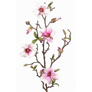 Magnolienzweig künstlich MARGA, rosa-pink, 80cm, Ø7-8cm Magnolienzweig künstlich MARGA, rosa-pink, 80cm, Ø7-8cm